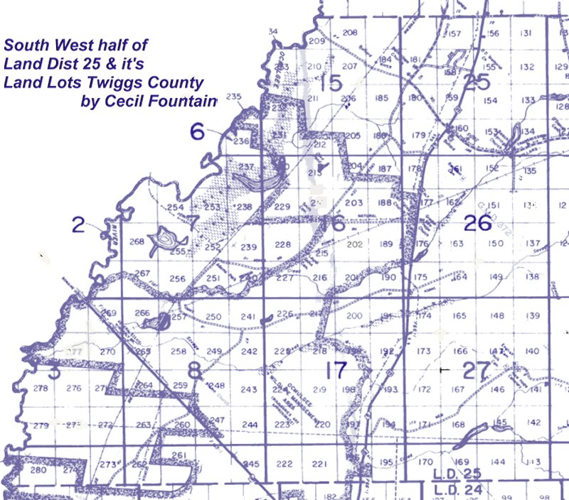 Twiggs Land Lot Map 0842